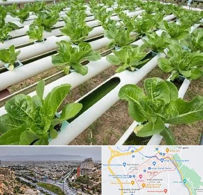 فروش تجهیزات هیدروپونیک در معالی آباد شیراز 