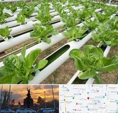 فروش تجهیزات هیدروپونیک در میدان حر 