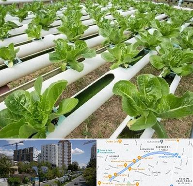 فروش تجهیزات هیدروپونیک در اندرزگو 