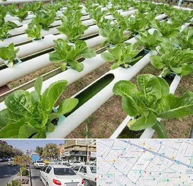 فروش تجهیزات هیدروپونیک در مفتح مشهد 