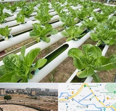 فروش تجهیزات هیدروپونیک در کوی وحدت شیراز 