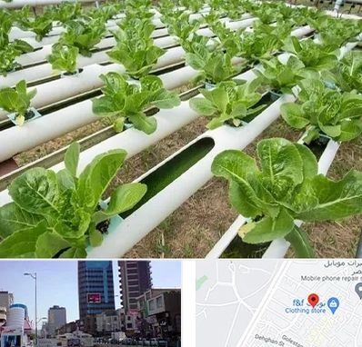 فروش تجهیزات هیدروپونیک در چهارراه طالقانی کرج 