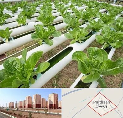 فروش تجهیزات هیدروپونیک در پردیسان قم