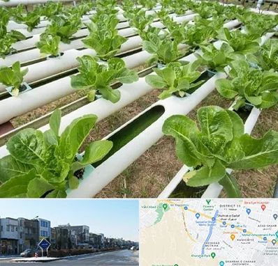 فروش تجهیزات هیدروپونیک در شریعتی مشهد 