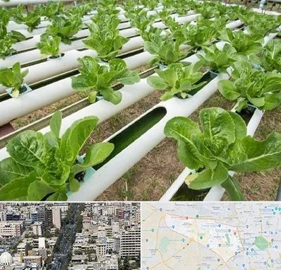 فروش تجهیزات هیدروپونیک در منطقه 18 تهران 