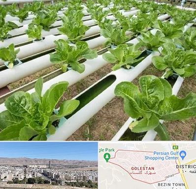 فروش تجهیزات هیدروپونیک در شهرک گلستان شیراز 