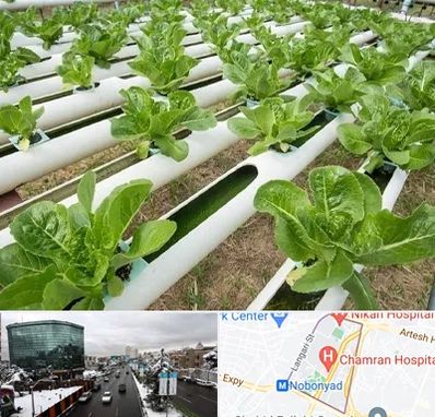 فروش تجهیزات هیدروپونیک در اقدسیه 