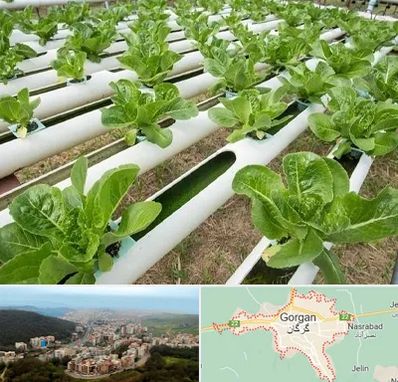 فروش تجهیزات هیدروپونیک در گرگان