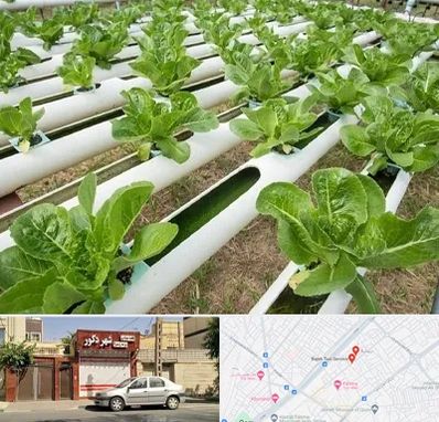 فروش تجهیزات هیدروپونیک در باجک قم