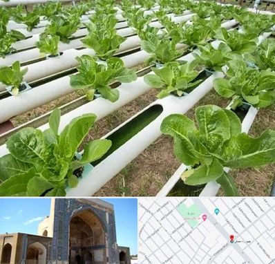 فروش تجهیزات هیدروپونیک در مصلی مشهد