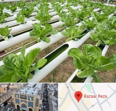 فروش تجهیزات هیدروپونیک در بازار رضا مشهد