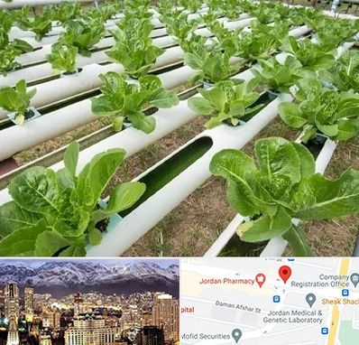 فروش تجهیزات هیدروپونیک در جردن 