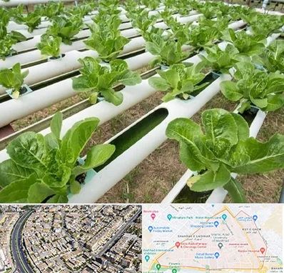 فروش تجهیزات هیدروپونیک در شهرک غرب مشهد 