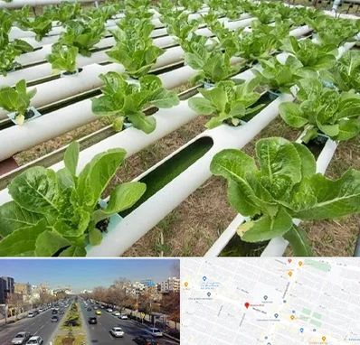 فروش تجهیزات هیدروپونیک در بلوار معلم مشهد 