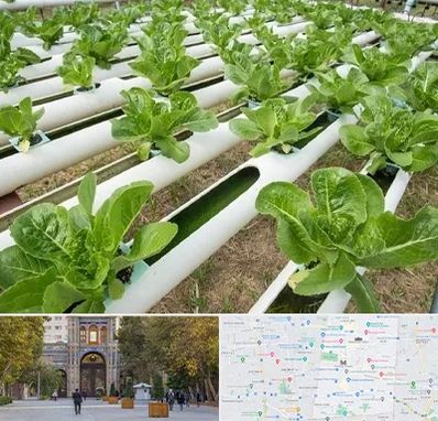 فروش تجهیزات هیدروپونیک در منطقه 12 تهران 