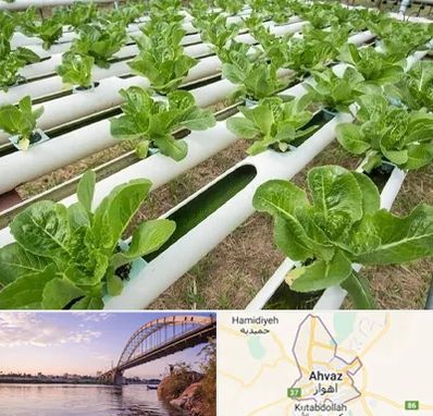 فروش تجهیزات هیدروپونیک در اهواز