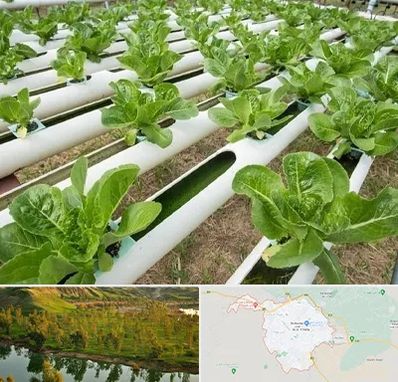 فروش تجهیزات هیدروپونیک در بهبهان