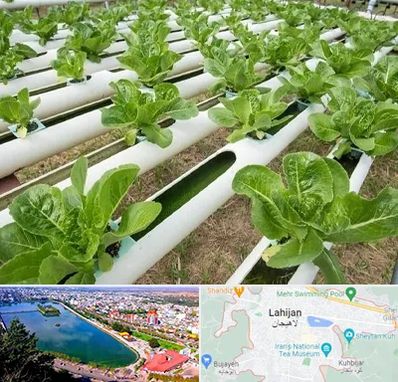 فروش تجهیزات هیدروپونیک در لاهیجان