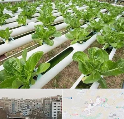 فروش تجهیزات هیدروپونیک در محمد شهر کرج 