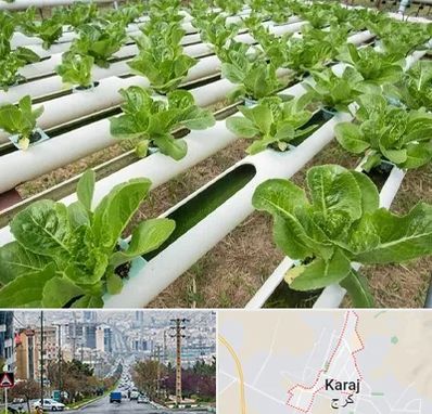 فروش تجهیزات هیدروپونیک در گوهردشت کرج 