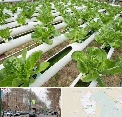 فروش تجهیزات هیدروپونیک در نظرآباد کرج 