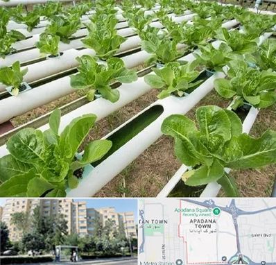 فروش تجهیزات هیدروپونیک در آپادانا