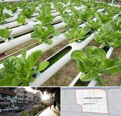 فروش تجهیزات هیدروپونیک در خیابان جمالزاده