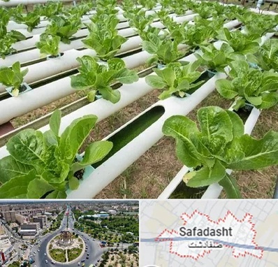 فروش تجهیزات هیدروپونیک در صفادشت