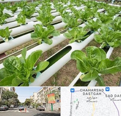 فروش تجهیزات هیدروپونیک در چهارصد دستگاه 