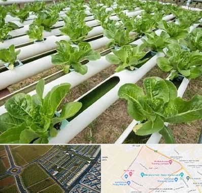 فروش تجهیزات هیدروپونیک در الهیه مشهد 