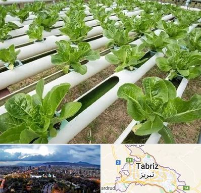 فروش تجهیزات هیدروپونیک در تبریز