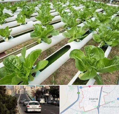فروش تجهیزات هیدروپونیک در خطیب تبریز