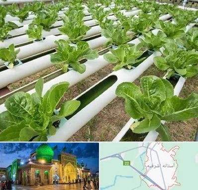 فروش تجهیزات هیدروپونیک در آستانه اشرفیه