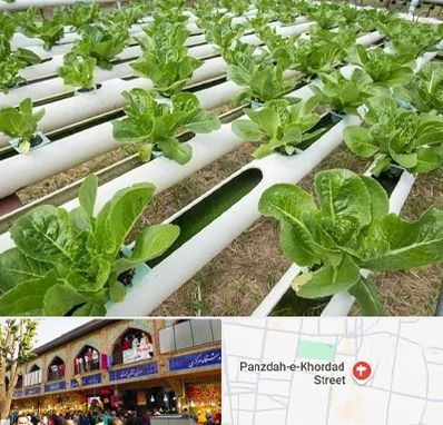 فروش تجهیزات هیدروپونیک در 15 خرداد