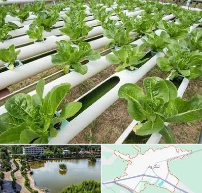 فروش تجهیزات هیدروپونیک در لنگرود