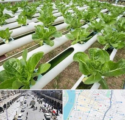 فروش تجهیزات هیدروپونیک در نادری اهواز 