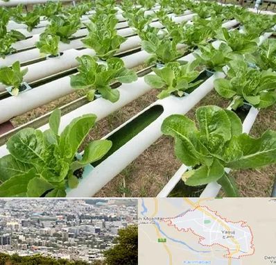 فروش تجهیزات هیدروپونیک در یاسوج