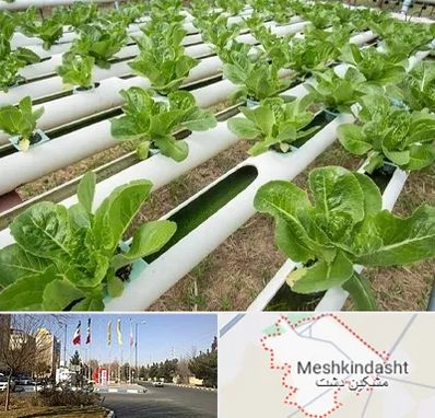 فروش تجهیزات هیدروپونیک در مشکین دشت