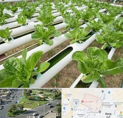 فروش تجهیزات هیدروپونیک در شاهین ویلا کرج 