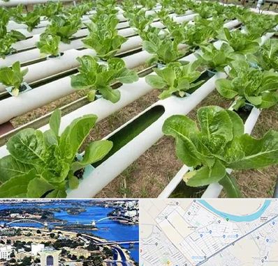 فروش تجهیزات هیدروپونیک در کوروش اهواز 