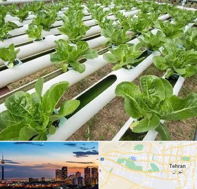 فروش تجهیزات هیدروپونیک در غرب تهران 
