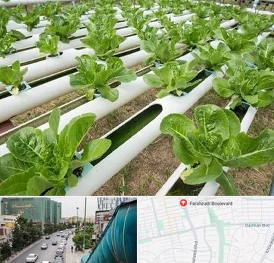 فروش تجهیزات هیدروپونیک در بلوار فرحزادی