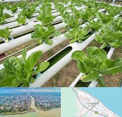 فروش تجهیزات هیدروپونیک در تنکابن