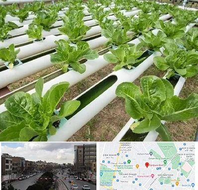 فروش تجهیزات هیدروپونیک در بلوار فردوسی مشهد 