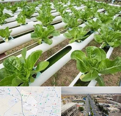 فروش تجهیزات هیدروپونیک در حصارک کرج 