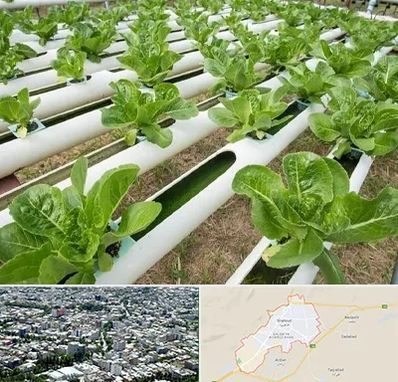 فروش تجهیزات هیدروپونیک در شاهرود