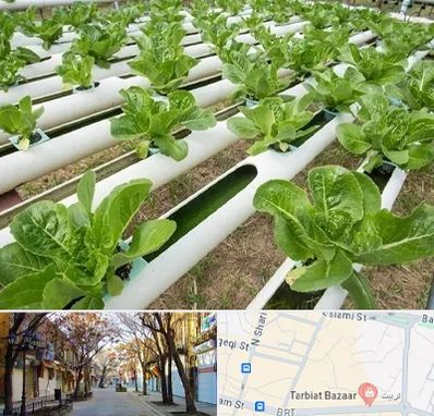 فروش تجهیزات هیدروپونیک در تربیت تبریز