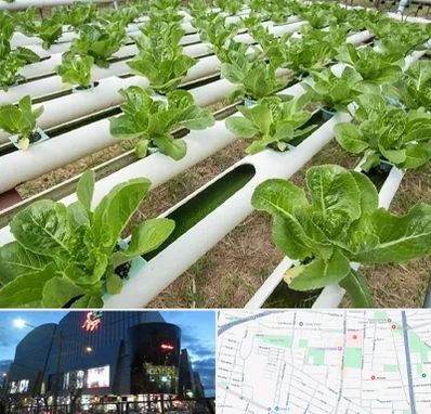 فروش تجهیزات هیدروپونیک در بلوار اباذر