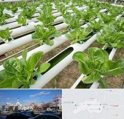 فروش تجهیزات هیدروپونیک در ماهدشت کرج 