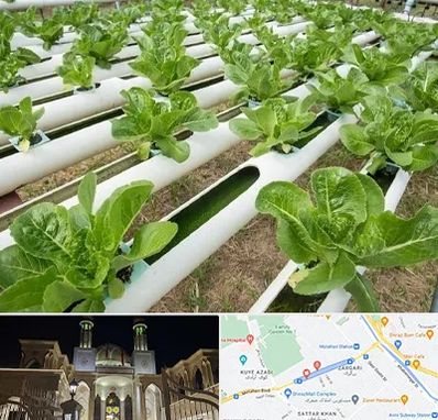 فروش تجهیزات هیدروپونیک در زرگری شیراز 
